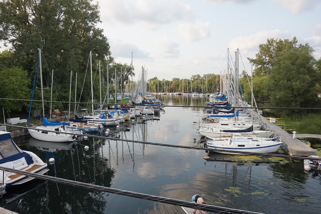 Algonquin Island Park | Algonquin Island Park, Toronto, ON M5J 2M9, Canada | Phone: (416) 338-4386