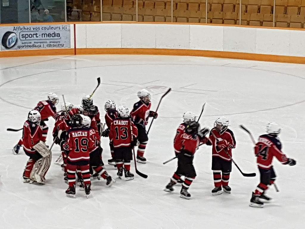 Sports Pavilion Roland Désourdy | 340 Rue Mercier, Cowansville, QC J2K 5B2, Canada | Phone: (450) 263-6464