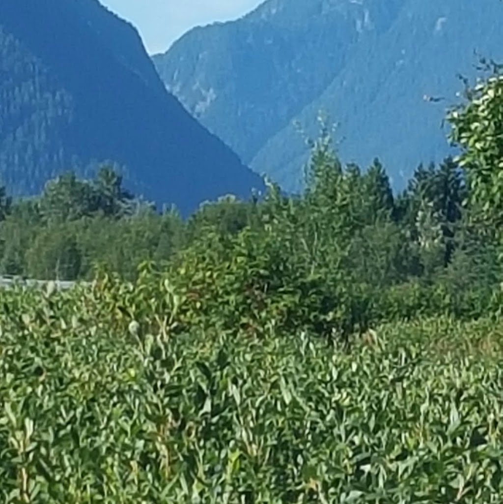 Farmhouse Lifestyle LTD | Rippington Rd, Pitt Meadows, BC V3Y 1Z1, Canada | Phone: (604) 465-9878
