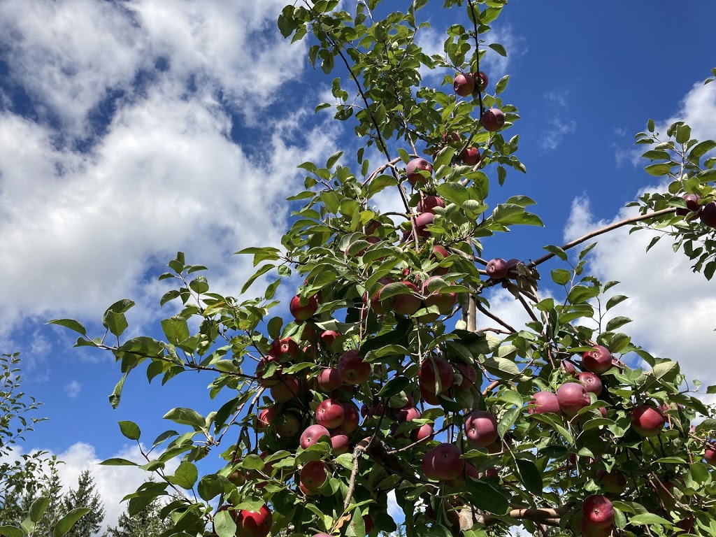 Autocueillette, Bleuetière et verger, La Fruiteraie des Gadbois. | 501 Rue Principale, Rougemont, QC J0L 1M0, Canada | Phone: (450) 469-3842