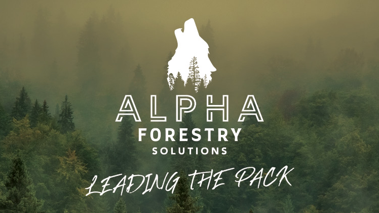Alpha Forestry Solutions | 71 Lynnwood Dr, Traverse Bay, MB R0E 2A0, Canada | Phone: (204) 782-2043