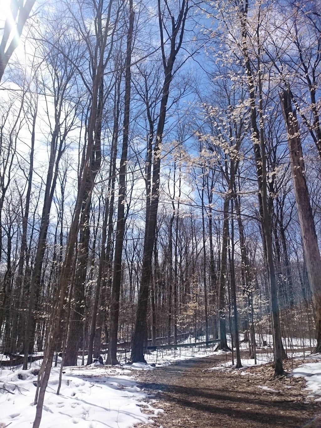 Monarch Woods Park | Highland West, Kitchener, ON N2N, Canada