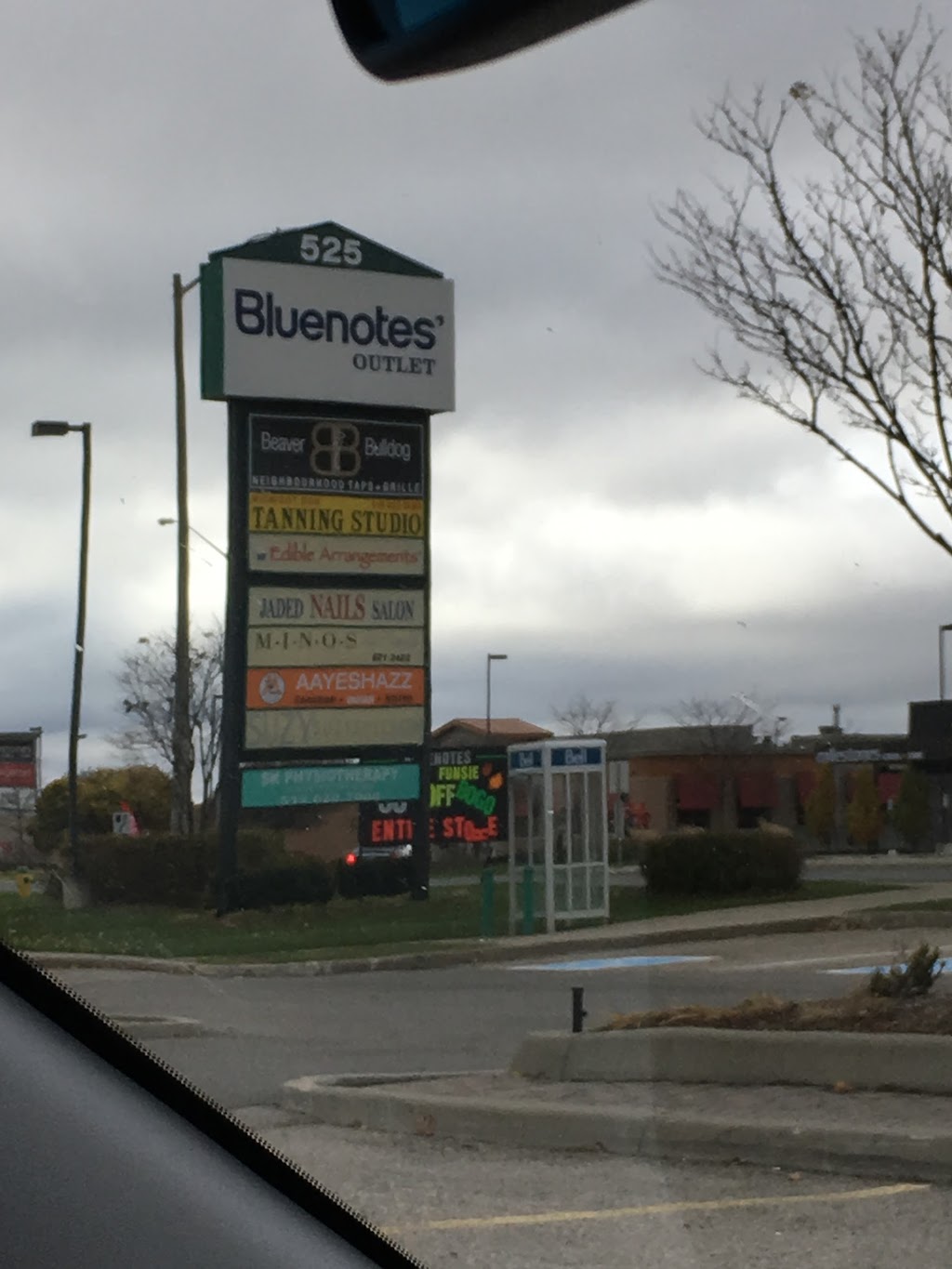 Bluenotes | 355 Hespeler Rd Unit #102, Cambridge, ON N1R 6B3, Canada | Phone: (519) 740-8902