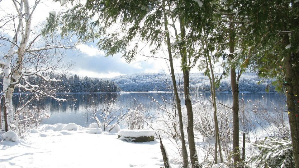 Redstone Rentals | 1574 Breckles Dr, Haliburton, ON K0M 1S0, Canada | Phone: (905) 294-4359