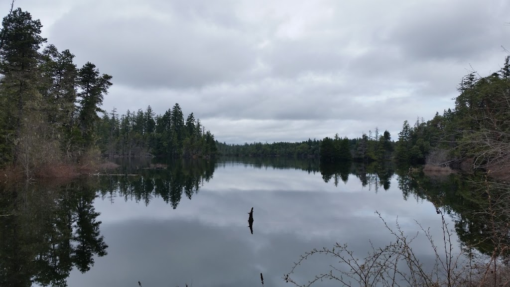 Spider Lake Provincial Park | Hwy 19, British Columbia V9K, Canada | Phone: (250) 474-1336