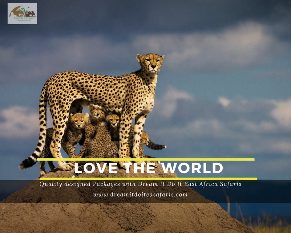 Kip Travels - Explore East Africa in Luxury, Style and Comfort | 2582 Lavinia Rd Unit 1, Shawnigan Lake, BC V0R 2W2, Canada | Phone: 0724 170102