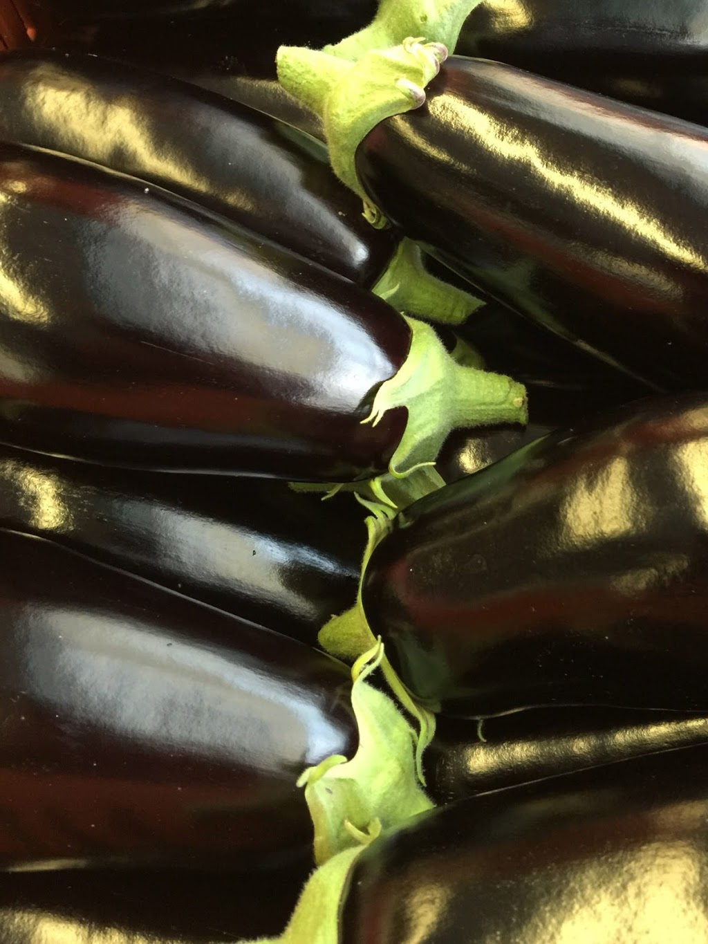 Doefs Greenhouses Ltd. | 41117 Hwy 792, Lacombe County, AB T4L 2N3, Canada | Phone: (403) 782-2704
