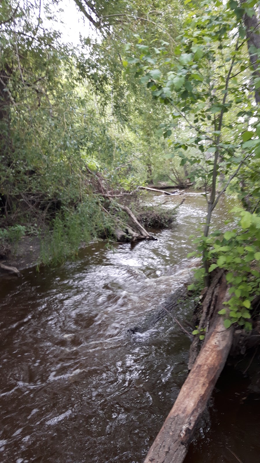 Mill Creek Linear Park | Central City, Kelowna, BC V1Y, Canada