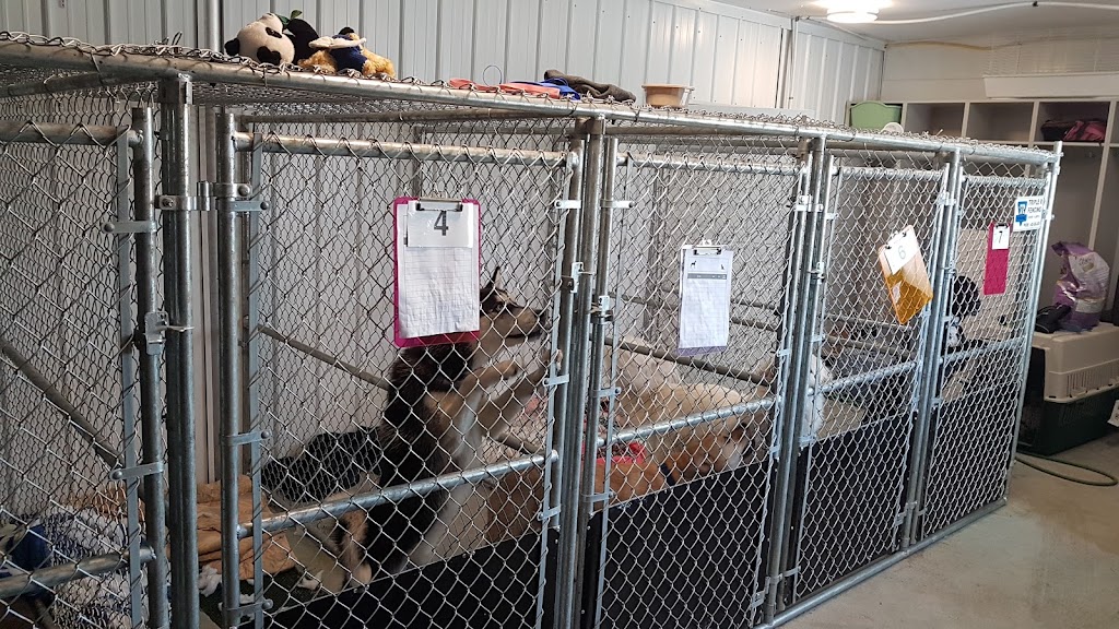 Triple R Fencing | 7-5431 TWP RD 325B NE 32-32-058 W5M Box 971, Sundre, AB T0M 1X0, Canada | Phone: (403) 638-2439