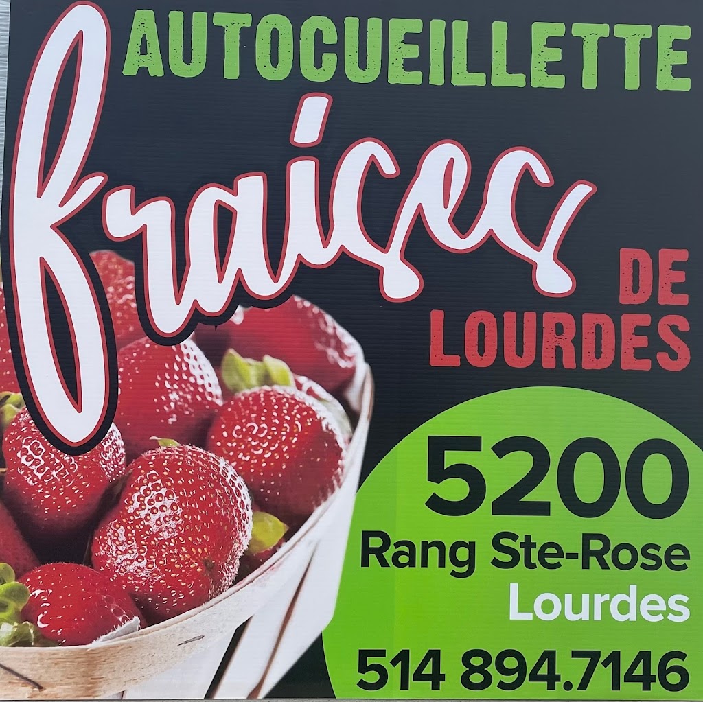Les Fraises de Lourdes (9124-6330 QC INC.) | 5200 Rang Ste Rose, Lourdes-de-Joliette, QC J0K 1K0, Canada | Phone: (514) 894-7146