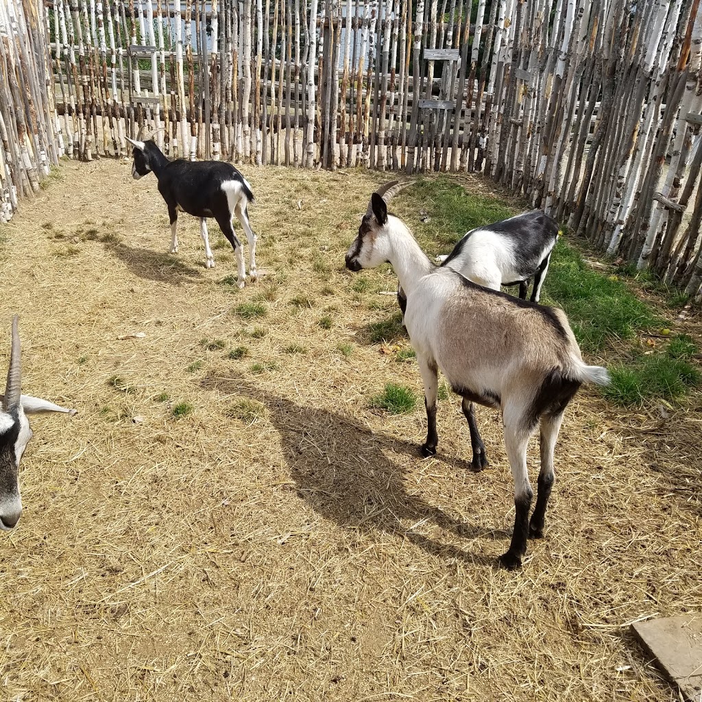 MacDonald Farm Provincial Heritage Place | 600 NB-11, Lower Newcastle, NB E1V 7G1, Canada | Phone: (506) 778-6085