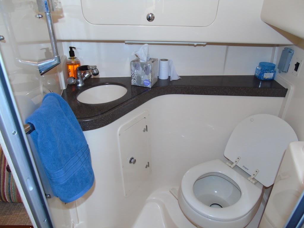 KingSize Adventures | 1327 Beach Dr, Victoria, BC V8S 2N4, Canada | Phone: (250) 507-5500