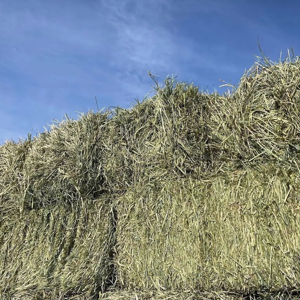 BHF Farm | 30 Lombardy Ave, St. Catharines, ON L2M 1A1, Canada | Phone: (647) 491-2031