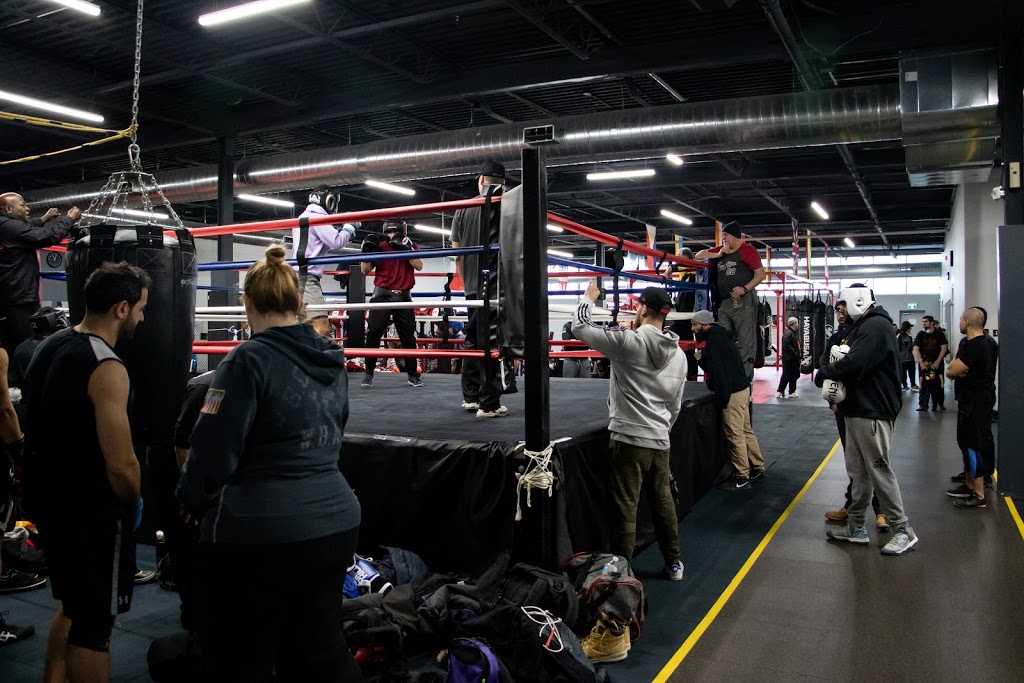 Budo Canada | 38C Apex Rd, North York, ON M6A 2V2, Canada | Phone: (416) 780-1300