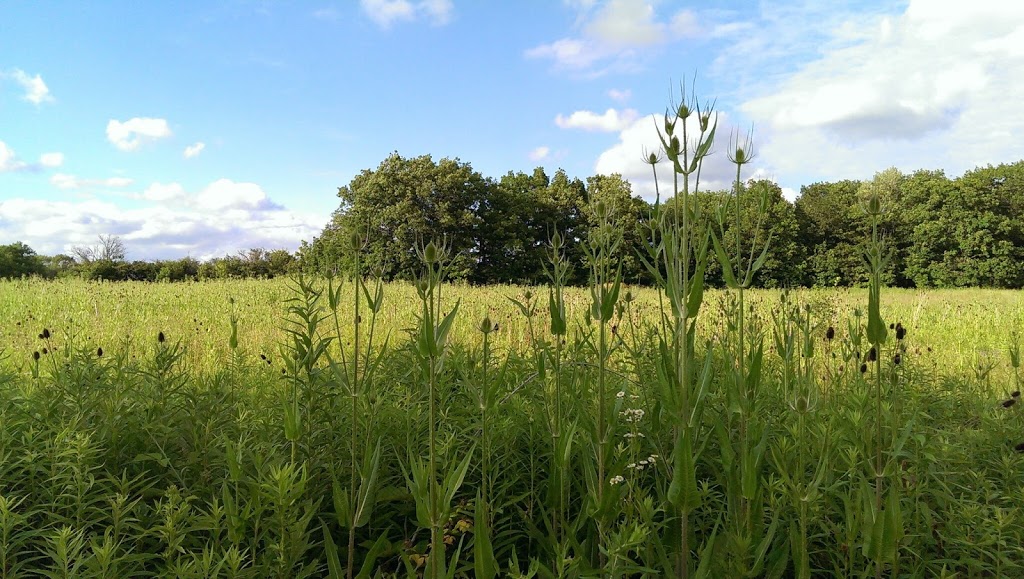 Eramosa Karst Conservation Area | Upper Mt Albion Rd, Stoney Creek, ON L8J 3X9, Canada | Phone: (905) 627-1233