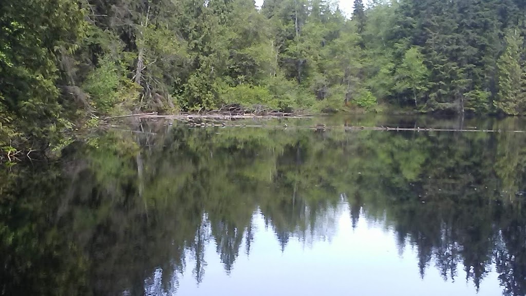 Mundy Park Bike Skills Trail - Beginner Loop | Mariner Way, Coquitlam, BC V3K 1N4, Canada | Phone: (604) 927-3000
