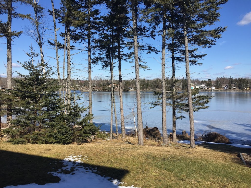 TimberTime Tree Service | 262 Montague Rd, Lake Loon, NS B2W 6C2, Canada | Phone: (902) 809-8733