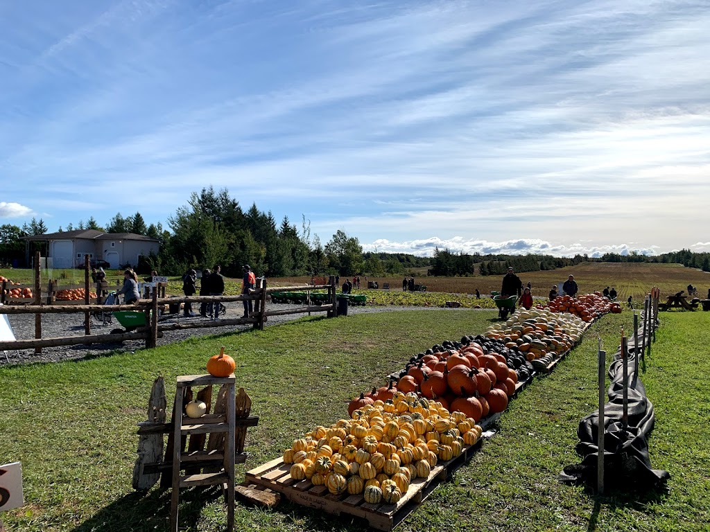 Ferme de Citrouilles Roberge et Gosselin | 1736 Chem. Royal, Saint-Pierre, QC G0A 4E0, Canada | Phone: (418) 952-2744
