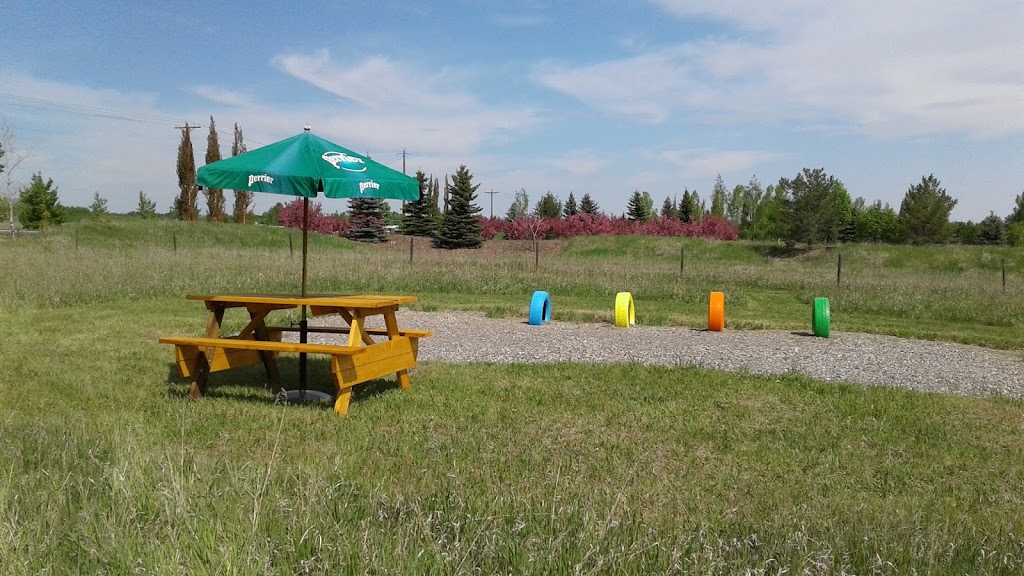 MyWalkies | 17 Dunbow Rd W, De Winton, AB T0L 0X0, Canada | Phone: (403) 921-4415