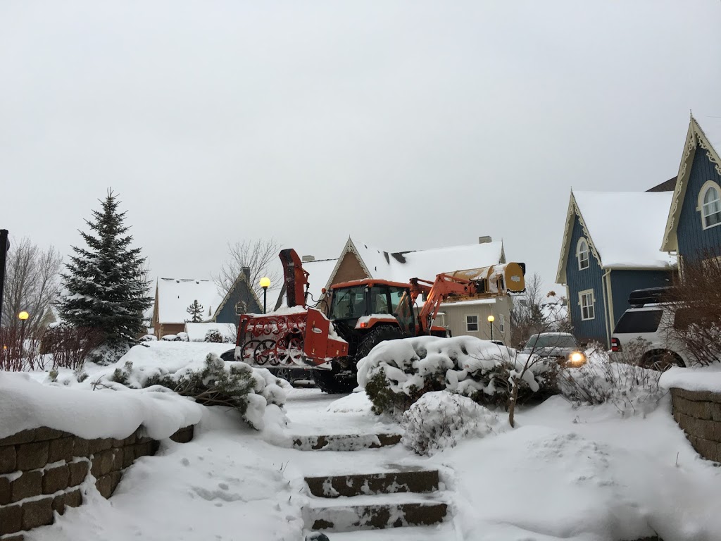 Amenity Centre | 171 Snowbridge Way, The Blue Mountains, ON L9Y 0V1, Canada | Phone: (705) 446-2591