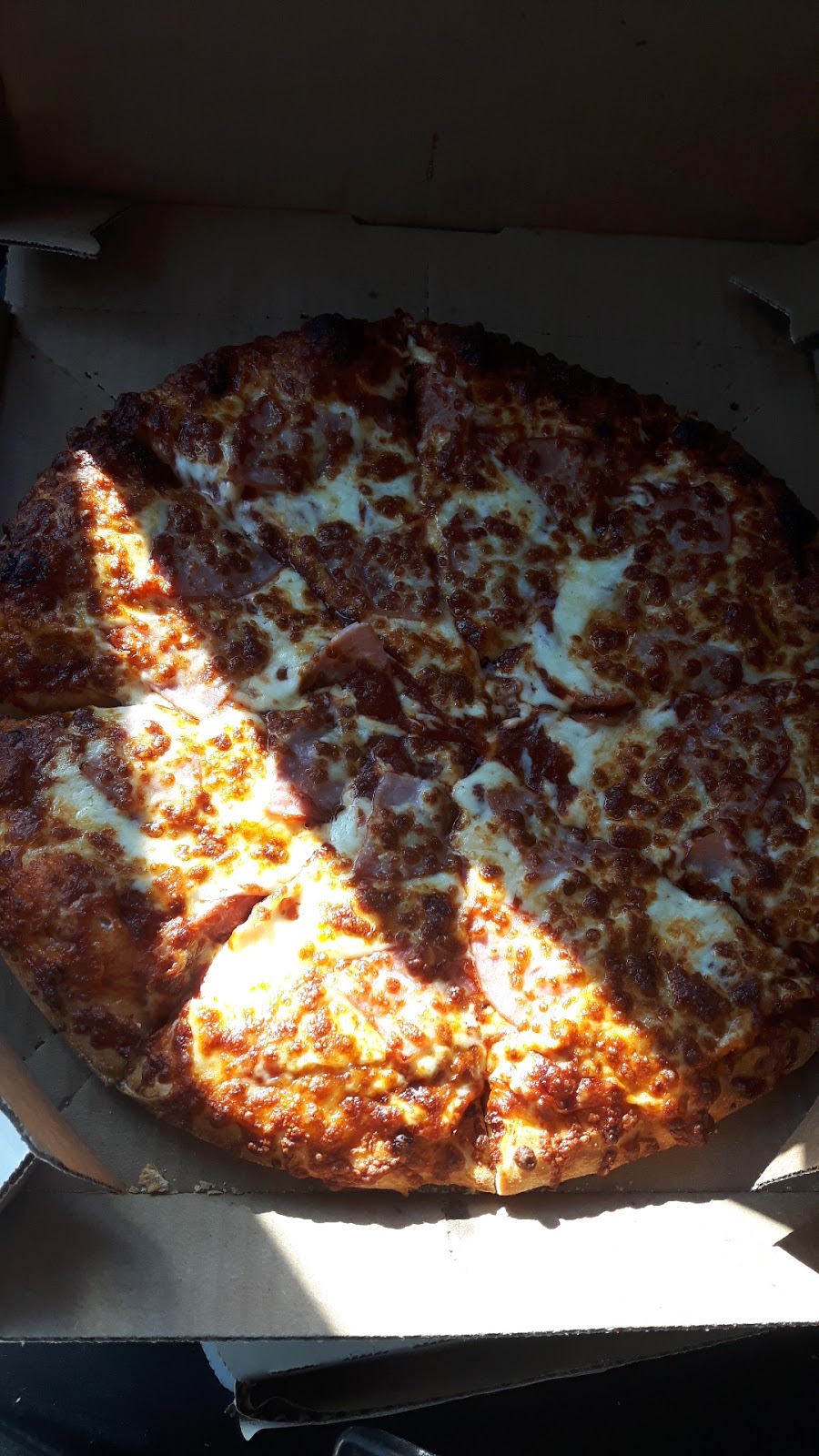 Dominos | 1355 Huron St, London, ON N5V 1R9, Canada | Phone: (519) 963-4040