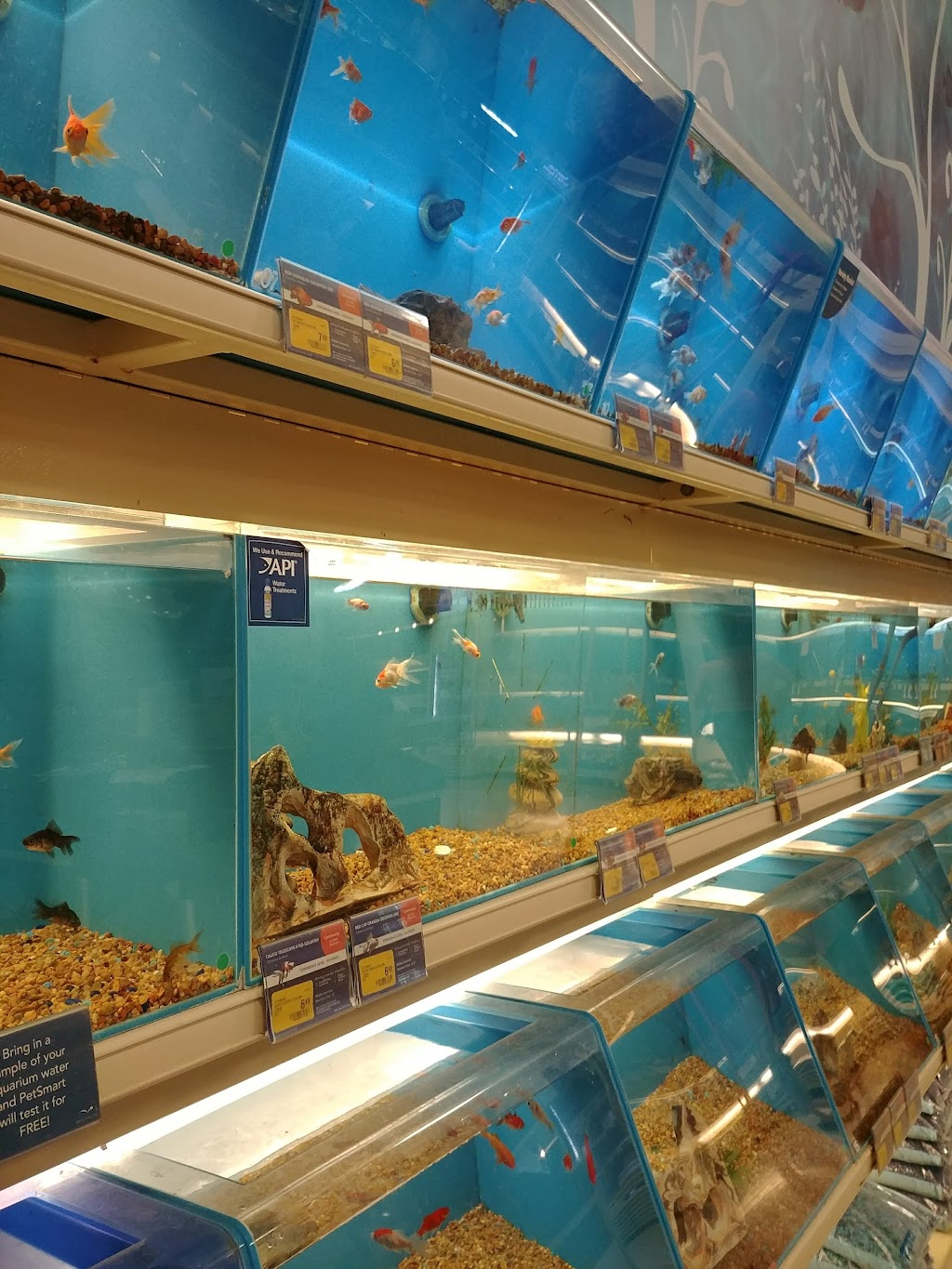 PetSmart | 285 Geneva St G5, St. Catharines, ON L2N 2E9, Canada | Phone: (905) 378-0500