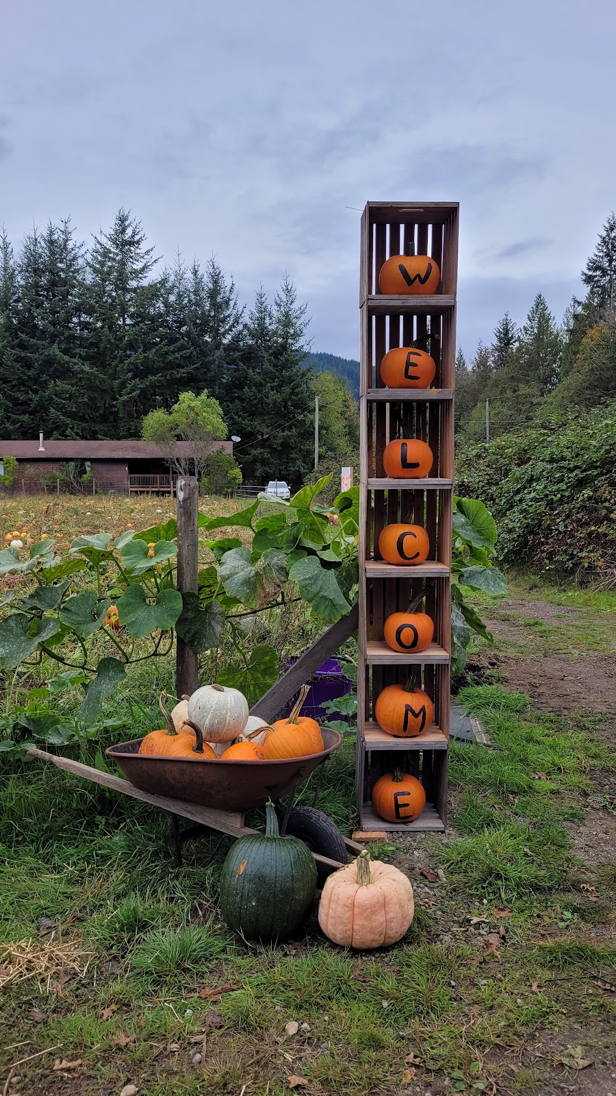 Shady Hazel Farm | 805 Payne Rd, Gibsons, BC V0N 1V7, Canada | Phone: (604) 866-4295