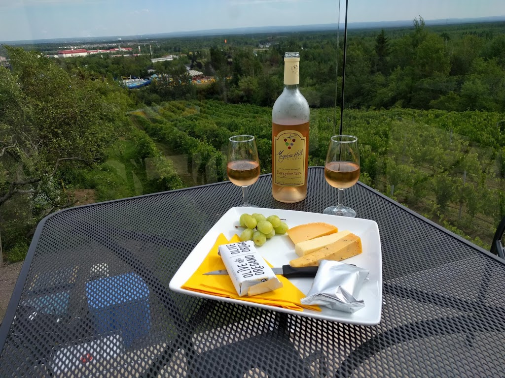 Magnetic Hill Winery | Magnetic Hill Winery, 860 Front Mountain Rd, Moncton, NB E1G 3H3, Canada | Phone: (506) 384-9463