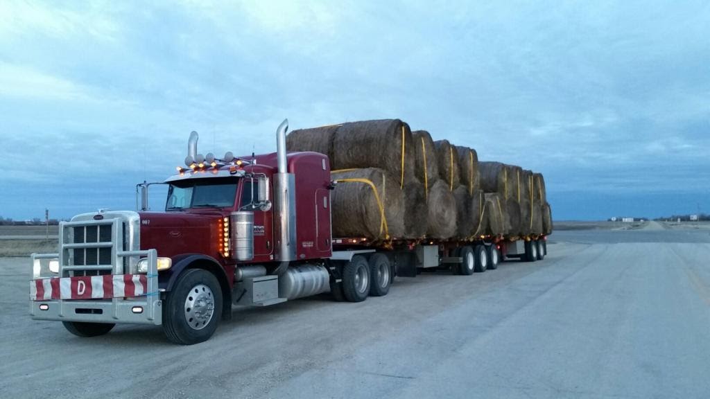 Black Hand Transport Inc | 310 Burnt Park Way #102, Alberta T4S 2L4, Canada | Phone: (587) 377-4600