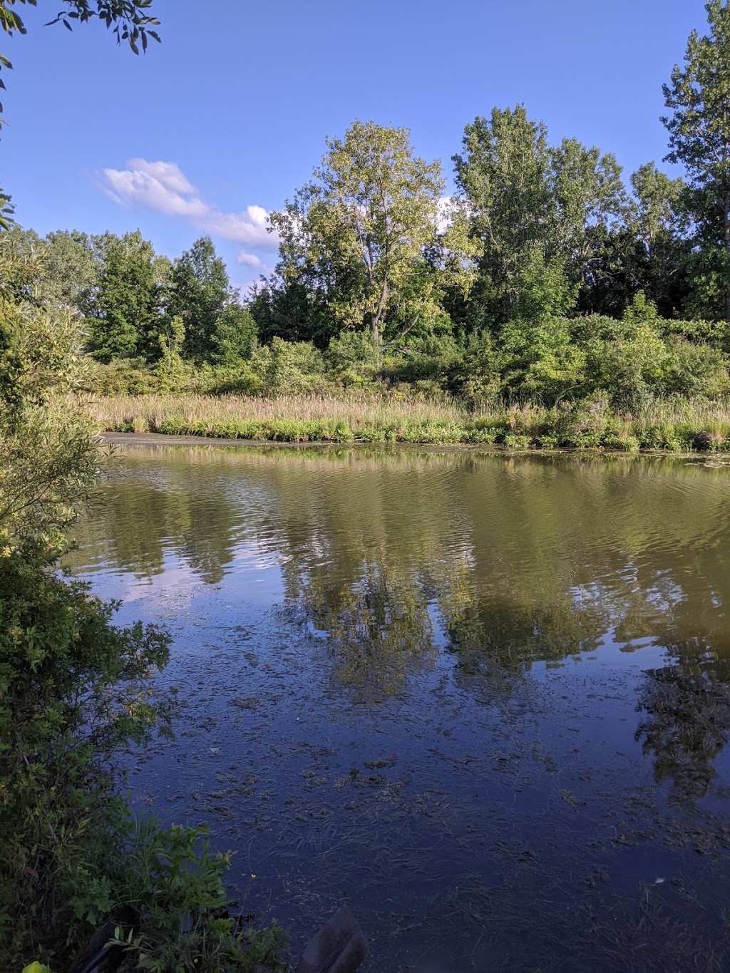 Niagara Boating Club | 4649 Lyons Creek Rd, Niagara Falls, ON L2E 6S6, Canada | Phone: (905) 295-7971