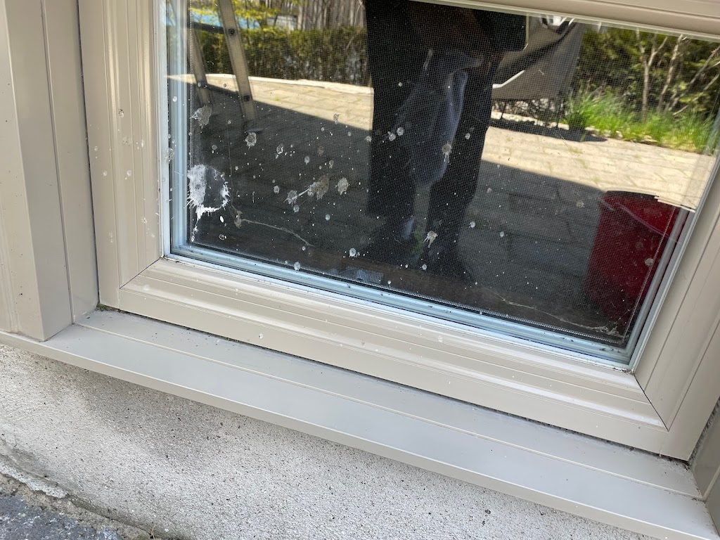 College Pro Window Cleaning Barrie/Orillia/Victoria Harbour | 800 W Ridge Blvd Unit 56, Orillia, ON L3V 0B9, Canada | Phone: (705) 333-9579