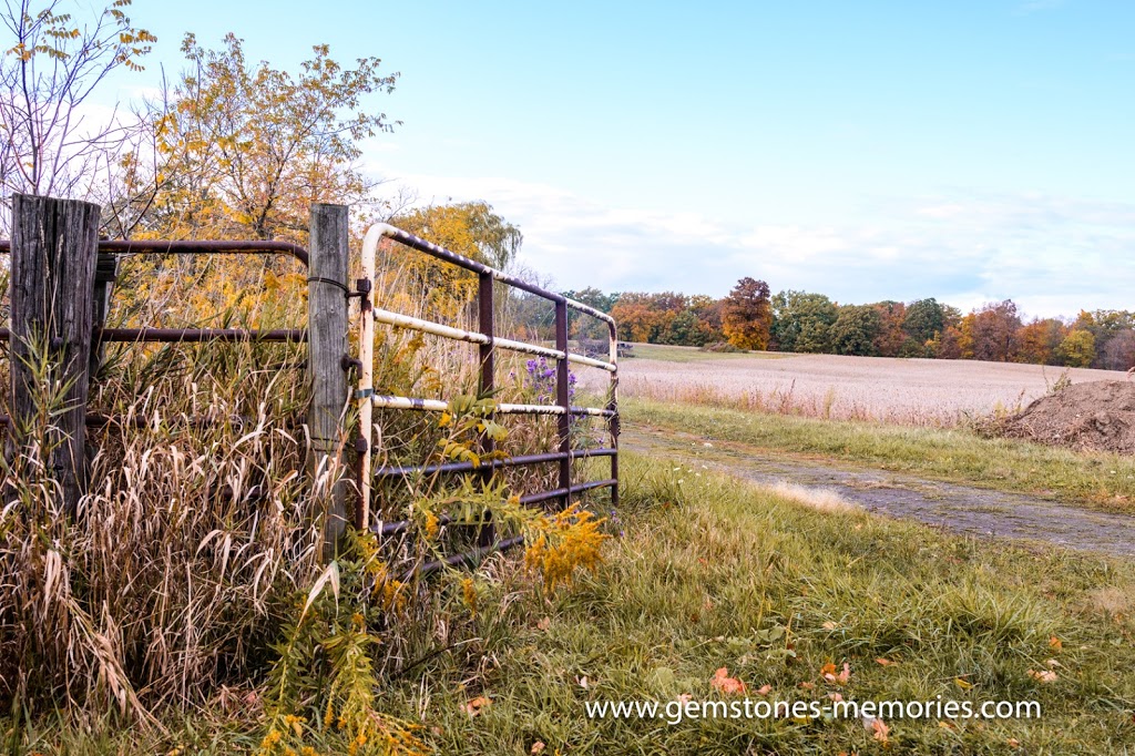 Sawmill Creek Farm Niagara | 437 Sawmill Rd, St. Catharines, ON L2R 6P7, Canada | Phone: (905) 246-6796
