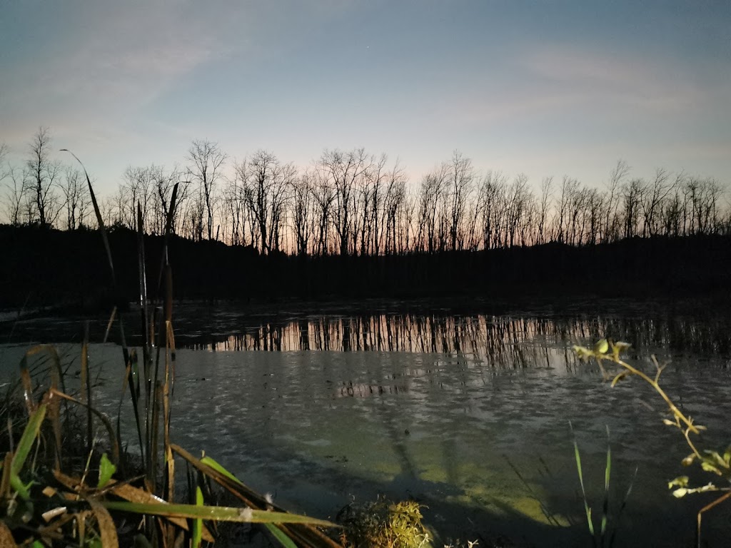 WINGS AND WATER OUTFITTERS | 105 Lumber Rd, Victoria Harbour, ON L0K 2A0, Canada | Phone: (705) 770-4146