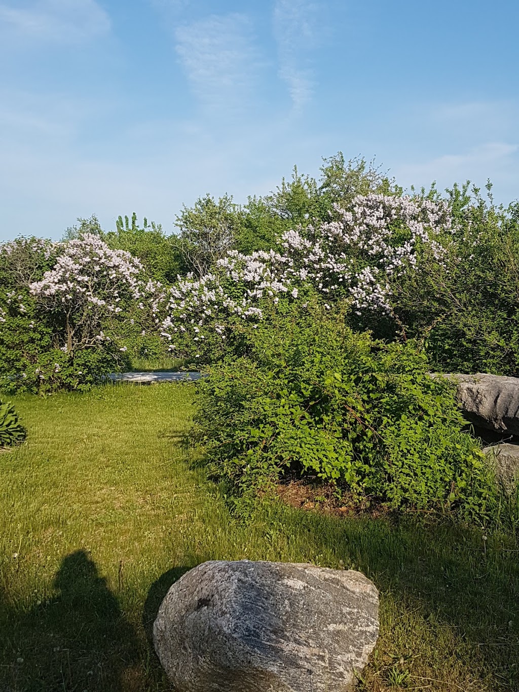 Victoria Park | Mnjikaning First Nation Indian Reserve No. 32, Ramara, ON L3V 6H6, Canada