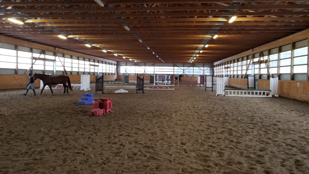 Glamorgan Farm | 433 Foxboro Stirling Rd, Foxboro, ON K0K 2B0, Canada | Phone: (613) 962-7573