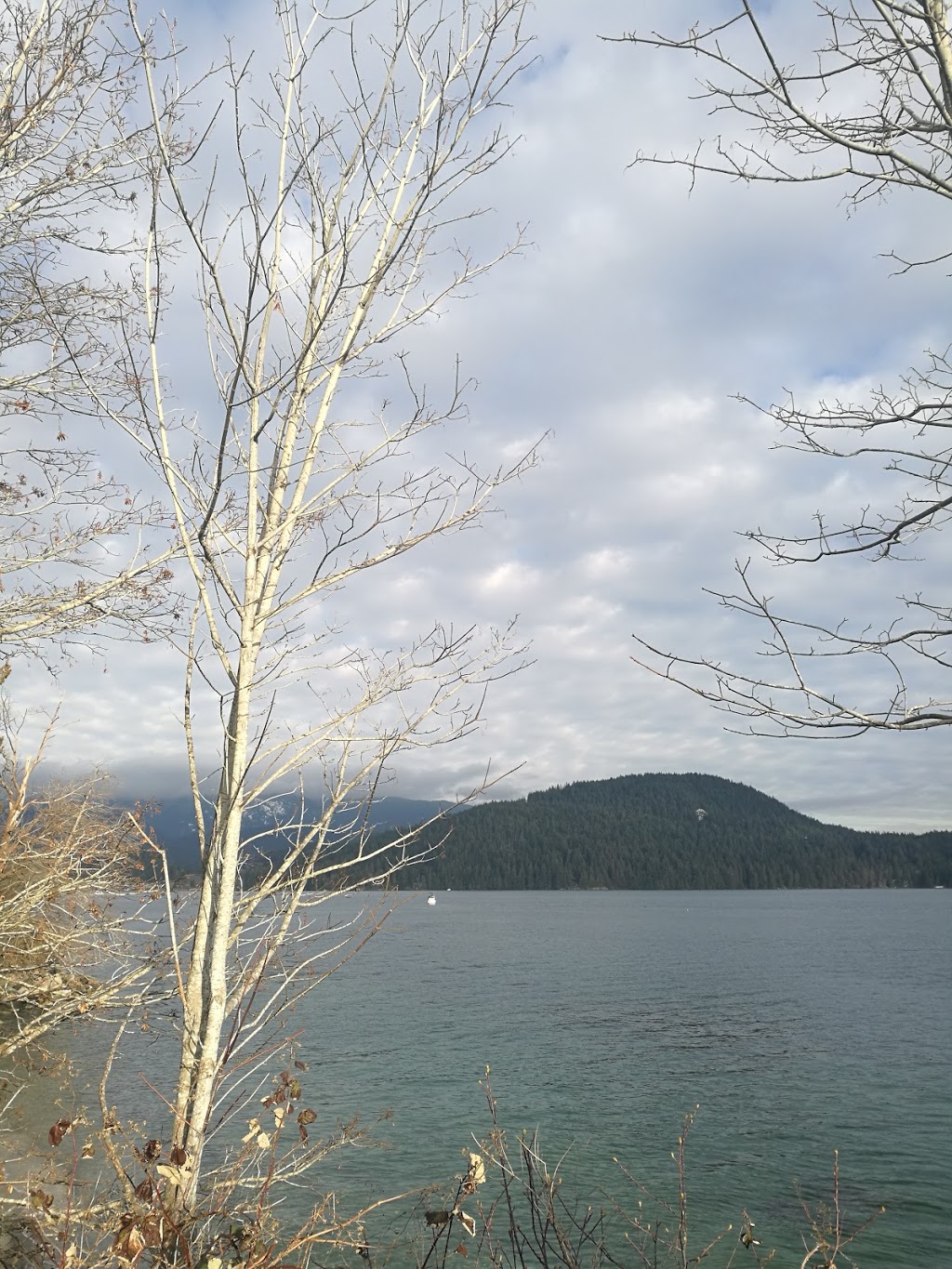 Cates Park Paddling Centre | 4141 Dollarton Hwy, North Vancouver, BC V7G 1A1, Canada | Phone: (604) 985-2925