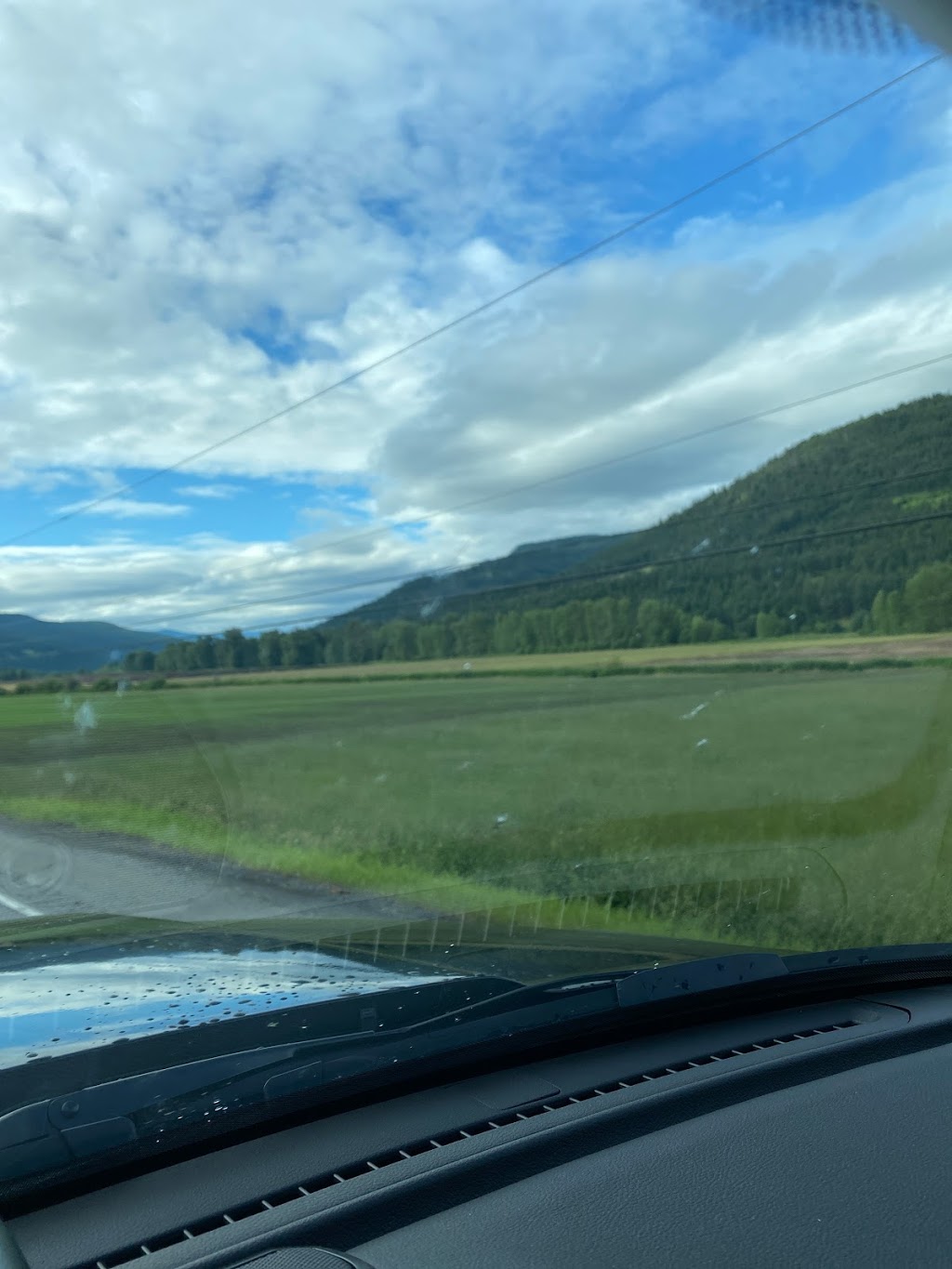 Dhillon Ranch | Barnhartvale Rd, Monte Creek, BC V0E 2M0, Canada | Phone: (250) 571-9227