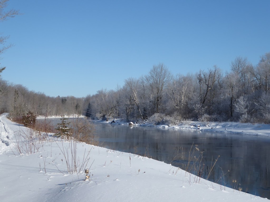 Thomas C. Agnew Nature Reserve | Fawcett Rd, Washago, ON L0K 2B0, Canada | Phone: (705) 326-1620