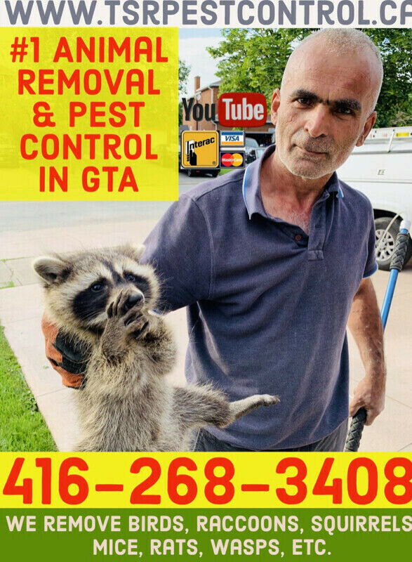 TSR Pest Control & Wildlife Removal Mississauga | 2 Betteridge Ln, Etobicoke, ON M9V 4E8, Canada | Phone: (416) 268-3408