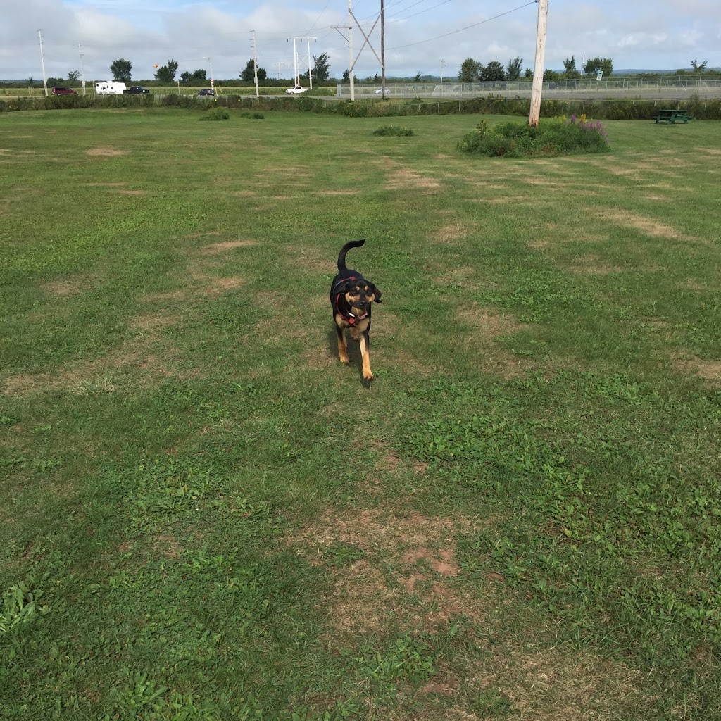 Truro - Bible Hill Off-Leash Dog Park | Lorne St, Truro, NS B2N 2C9, Canada | Phone: (902) 893-6078