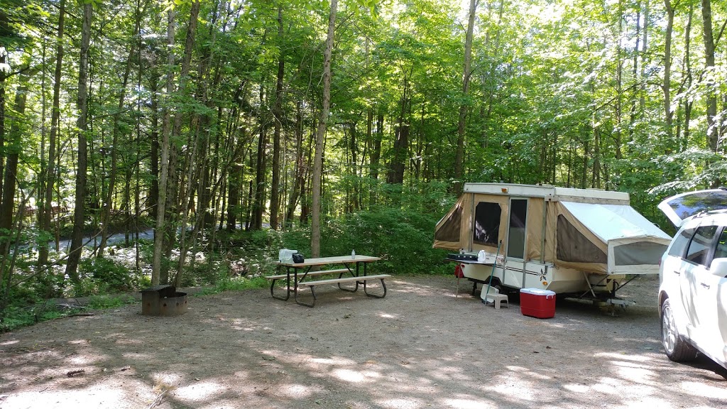 Fitzroy Provincial Park - Pine Grove Campground | 5201 Canon Smith Dr, Fitzroy Harbour, ON K0A 1X0, Canada | Phone: (613) 623-5159