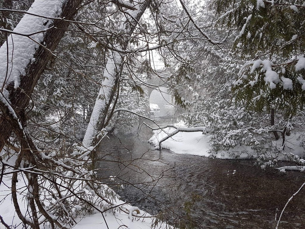 Orono Crown Lands | Ochonski Rd, Clarington, ON L0B, Canada | Phone: (905) 579-0411