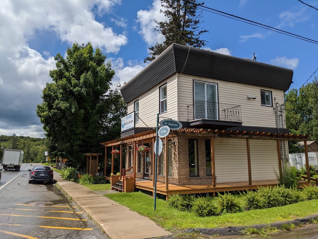 Roch Lafontaine | 94 12 Rue, Ferme-Neuve, QC J0W 1C0, Canada | Phone: (819) 587-3217