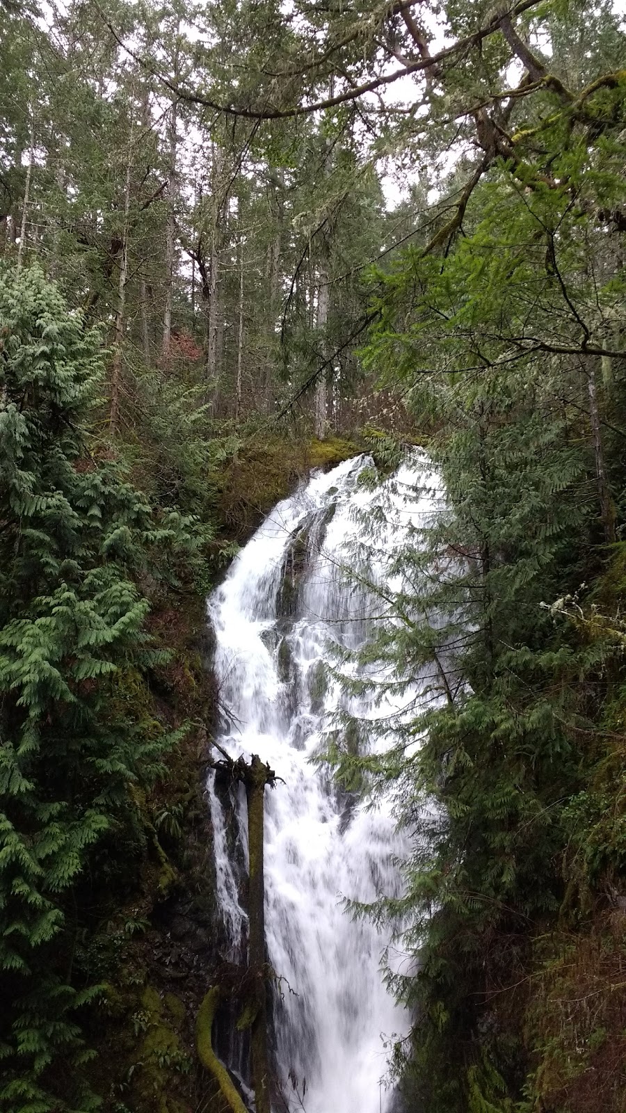 Gowlland Tod Provincial Park | Ross Durrance Rd, Highlands, BC V9E 2A3, Canada