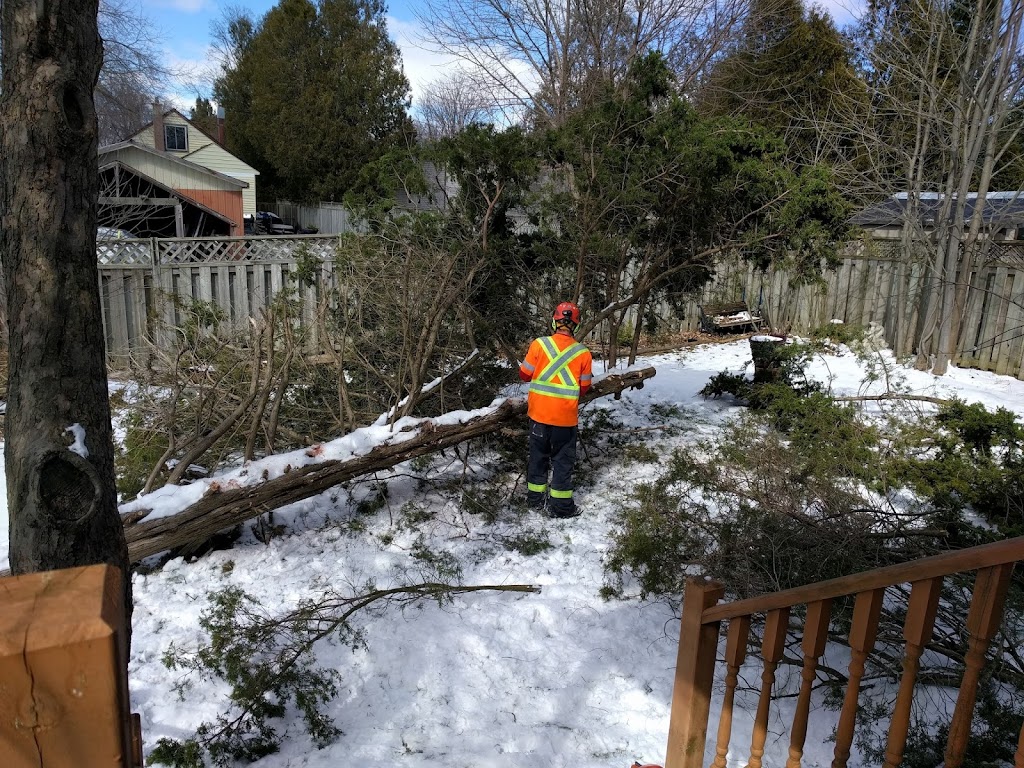 CLC Tree Services Ltd | 7024 Kerr Rd, London, ON N6N 1C5, Canada | Phone: (519) 685-0257