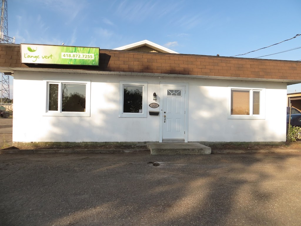 Ange Vert Services Paysagistes Langevin Inc | 2425 Rue Lindbergh, Québec, QC G2G 2P1, Canada | Phone: (418) 872-7255
