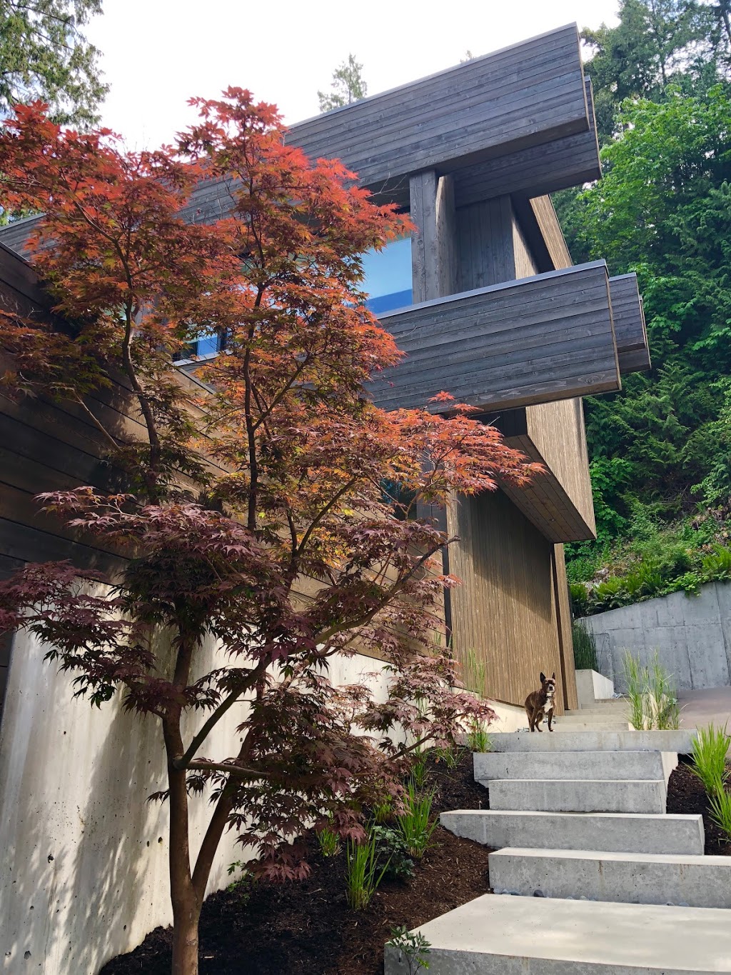 Broadway Roofing Co Ltd | 7430 Lowland Dr, Burnaby, BC V5J 5A4, Canada | Phone: (604) 439-9107