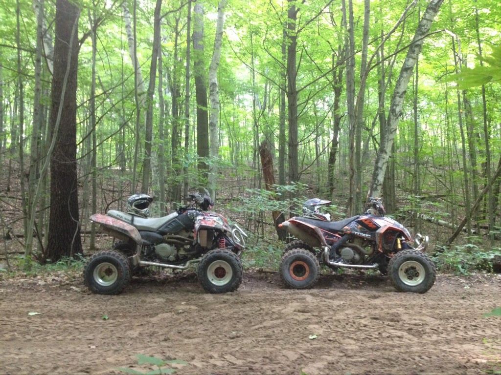 Ganaraska Forest | Clarington, ON L0B, Canada | Phone: (905) 885-8173