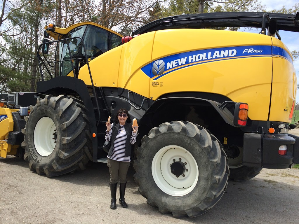 Mountainoak Cheese Ltd | 3165 Huron Road, New Hamburg, ON N3A 3C3, Canada | Phone: (519) 662-4967