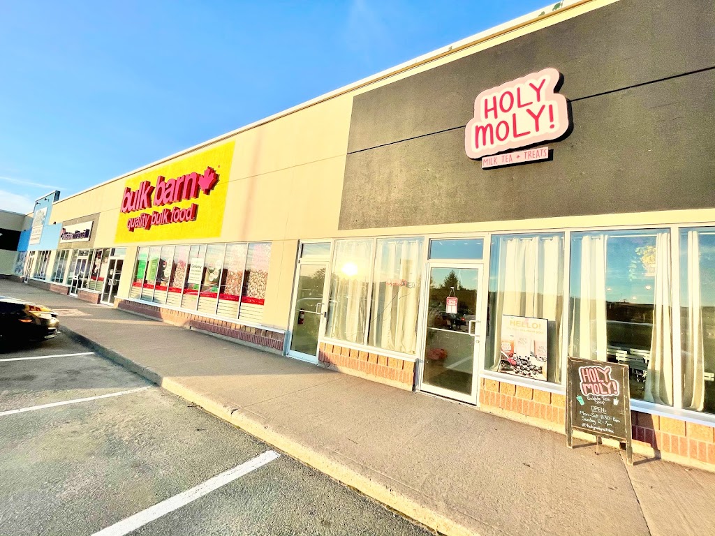 Holy Moly Bubble Tea | 114 Woodlawn Rd, Dartmouth, NS B2W 2S7, Canada | Phone: (902) 435-6755